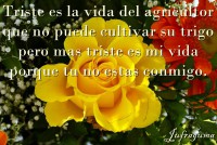 /album/fotogaleria/triste-jpg/