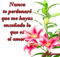 /album/fotogaleria/nunca-jpg/