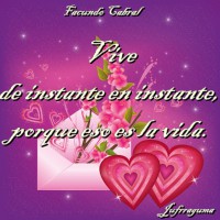 /album/fotogaleria/vive-jpg/