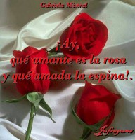 /album/fotogaleria/hay-jpg1/