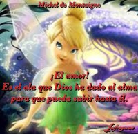 /album/fotogaleria/alas-jpg/