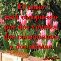 /album/fotogaleria/idiotas-jpg/