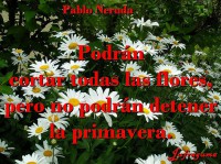 /album/fotogaleria/podran-jpg/