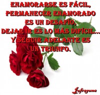 /album/fotogaleria/enamorarse1-jpg/