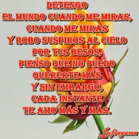 /album/fotogaleria/detengo1-jpg/